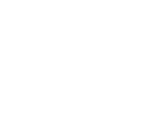 Junmai Ginjo