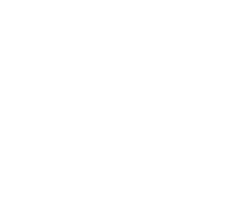 Junmai Ginjo